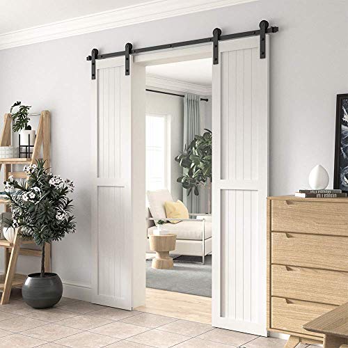 WINSOON Double Barn Door Hardware Kit 5-18ft Sliding Track for Interior Exterior Closet Cabinet Kitchen Hallway (5FT Double Doors Kit)