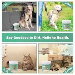 Cutebone Pet Eye Wipes 120 Count  Gentle and Soothing Eye Cleaning Wipes for Dogs and Cats Removes Dirt Tear Stains and Debris Prevents Eye Infections Natural Ingredients Safe and Easy to Use  Cucciolini Doodles Cutebone pet eye wipes 120 count  gentle and soothing eye cleaning wipes for dogs and cats removes dirt tear stains and debris prevents eye infections natural ingredients safe and easy to use   cucciolini doodles