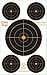 40 Pack - 10x16" Reactive Splatter Target 5 Bulls-eyes Per Target - Multicolor - Total of 200 Targets on All 40 Sheets