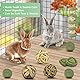 ERKOON Kaninchen Kauspielzeug, 11 Stück Hamster Spielzeug Natürlich Apfelholz Kauen ​Grasball Timothy Heu Sticks Gras Kuchen für Häschen Chinchilla Hamster Meerschweinchen Rennmäuse Zahnpflege
