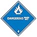 NMC DL22AP National Marker Dot Shipping Labels, Dangerous When Wet, 4 Inches x 4 Inches, Ps Vinyl, 25/pk (Pack of 25)