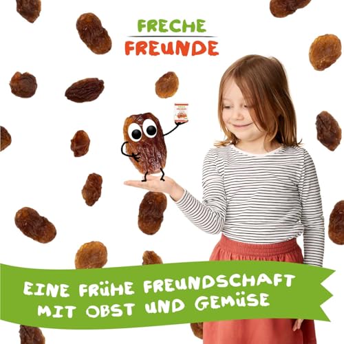 FRECHE FREUNDE Bio süße Snackartikel, ohne Zuckerzusatz, vegan, laktosefrei, glutenfrei (1 Pack, Rosinchen)