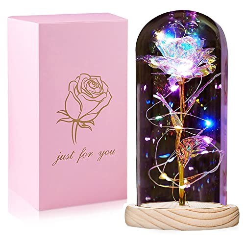 QUNPON Muttertagsgeschenk für Mama, Ewige Rose im Glas Die Schöne und das Biest Rose in Glaskuppel, Sparkly Galaxy Rose mit LED-Lichter, Geschenke für Frauen Oma Geburtstag Freundin