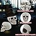 Junware 20 Pcs Halloween Skulls Realistic Looking Skulls Skeleton Head for Halloween Bar Home Table Decoration Model Human Skeleton Statue (1.6 x 1.8 x 2.3 Inches)