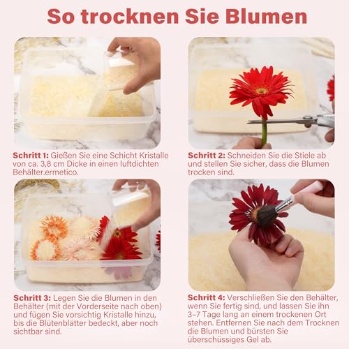 LotFancy Silica Gel zum Blumen Trocknen 2.5 LBS (1,13KG), Silicagel mit Indikator, Wiederwendbares Trockenmittel, Feine Kristalle  1 mm für Blumen
