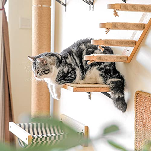 Estante flotante para gatos FUKUMARU 17x10 pulgadas con tapete de sisal miniatura 4