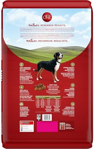 Purina ONE Dry Dog Food, Microbiome Balance Lamb & Rice - 14 kg Bag (1 Pack) - 2