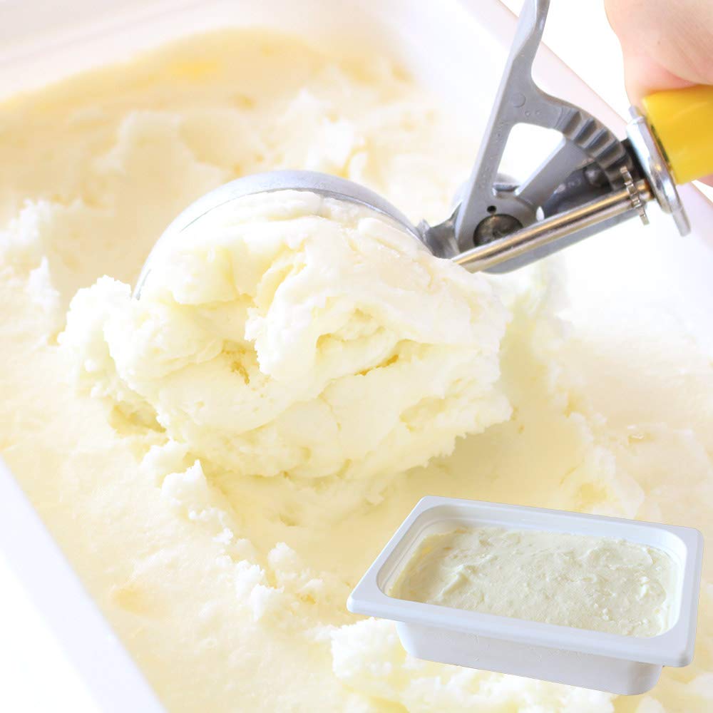 北国からの贈り物 アイスクリーム 業務用 ソルトロック 北海道 くりーむ童話 手づくり アイス