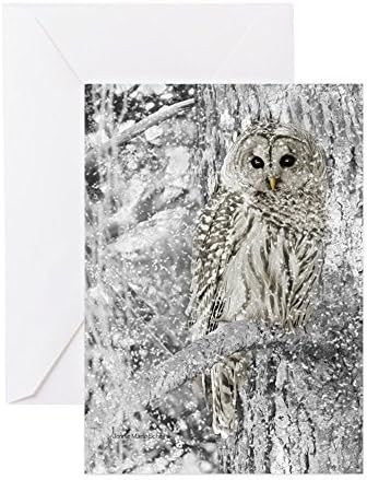 Printed Premium Cardstock Pattern Paper, 25 pack (Garden Party)