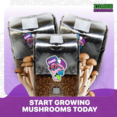 Zombie Mushrooms All-in-One Mushroom Grow Kit (1-Pack) – 3lb Mini Bags with Sterilized Grain and CVG Substrate, Injection Ports Included, for Growing Mushrooms at Home (Spores Not Included)