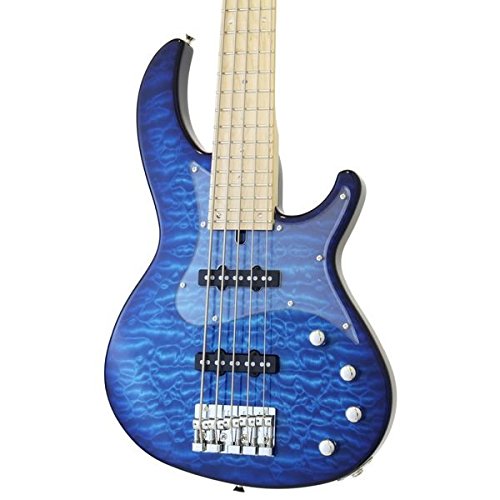 アリアプロ　RSB5 5弦ベース　アクティブ　EMG サンプル品Ariaproⅱ アリアプロ RSB5 5弦ベース アクティブ EMG サンプル品Ariaproⅱ