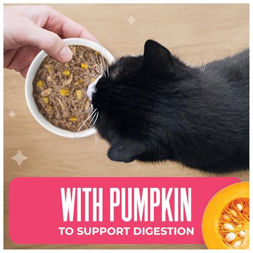 Image of Tiki Cat Friends Tuna, Shrimp & Pumpkin, Grain Free, 2.8 oz. Can, 12 Count | Grain free, high moisture wet cat food for adult cats, gentle fiber from pumpkin, 12 cans per pack