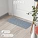 Astra Fußmatte innen Silber Schmutzfangmatte rutschfest – Türmatte 25x60 cm wasserabweisend – Rib Line strapazierfähiger Fußabtreter antistatisch