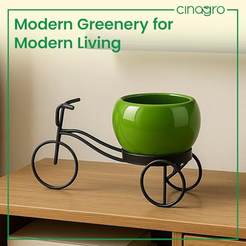 Image of CINAGRO Cycle-Shaped Metal Plant Stand for Indoor & Outdoor Use, Metal Cycle Flower Vase, Decorative Iron Planter Pot Holder for Flowers & Ornaments (24 x 11 x 11cm) Style: Urban Pedal, Big