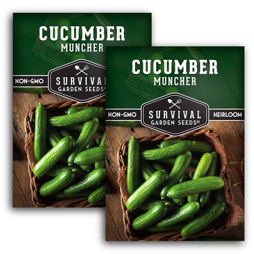 Muncher Cucumber Seeds for Planting | Burpless Variety with Smooth Skin for Snacking or Slicing – Survival Garden Seeds (2 Packs)