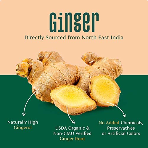Image of VAHDAM, Organic Ginger Powder (2.47oz) 100% Raw Ground Ginger Root Powder from India | Active Gingerol - Non GMO, Gluten Free | Direct from Source