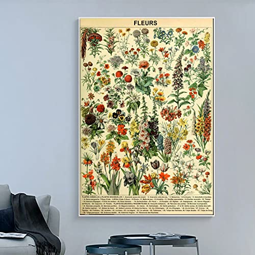 Vintage Botanical Prints Flower Poster - Science Education Chart Plant Alphabet Poster Floral Canvas Wall Art For Nursery Home School Classroom Kindergarten Decor Unframed (Flower,12X18In/30X45Cm) #TOP1