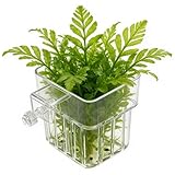 Soporte para Plantas para estanques de Peces, Maceta Colgante Transparente, Colgador de Plantas para Acuario, para Plantas acuáticas, hidropónico, para Cultivo Interior y hogar, así como
