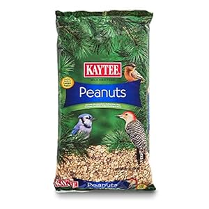 Kaytee Shelled Peanuts For Woodpeckers, Nuthatches, Jays, Towhees, Cardinals, Indigo Buntings & Other Wild Birds, 10 Pound