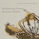 Die Sammlung Emmerig des Bezirks Oberpfalz - Gerald Dagit, Maya Brückl, Tobias Appl 