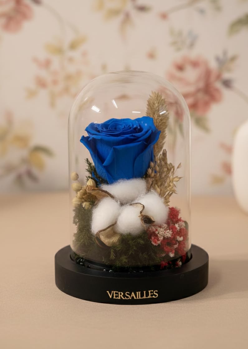 Versailles Eternal Rose Glass Dome | Luxury Blue Rose with Cotton, Cyprus Leaves & Gypso | Romantic Forever Rose-image-19