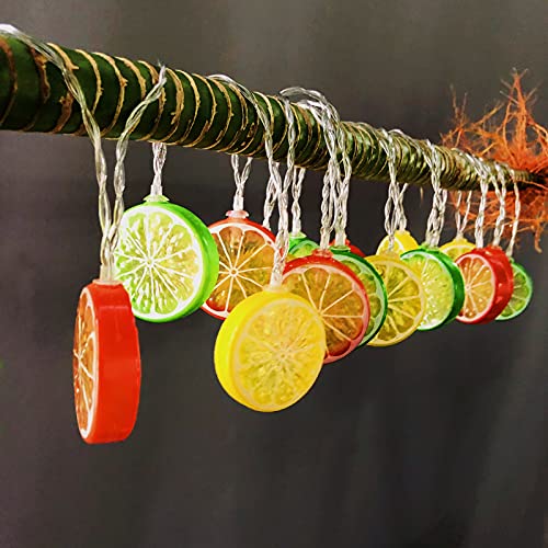 Riaxuebiy Lemon Slice Decor Lights Lemon Green Leaf Vine Fairy Lights 3M 20LED USB Powered Fruit Garland Lamp for Kitchen Patio Fence Camping Holiday Party Summer Decoration (Mixcolor Lemon) - Image 2