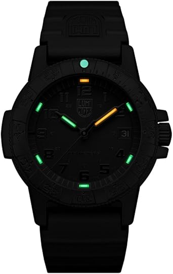 luminox 0100