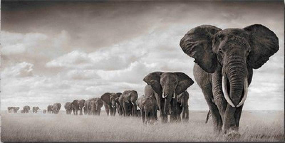Broderie diamant éléphant 5D mosaique en résine éclatante pour salon chic