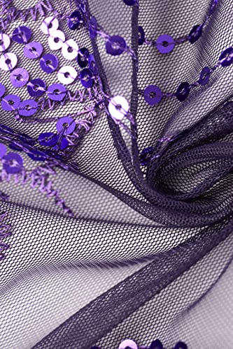 Image of BABEYOND 1920s Sequined Shawl Wraps for Women Fringed Evening Cape Wedding Bridal Shawl Scarf for Evening Dresses Party