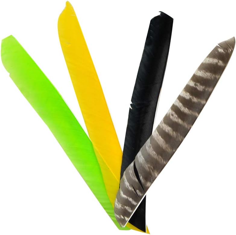SHARROW 30pcs Archery Full Length Turkey Feathers Arrow Fletches Fletching Rrght Wings for Hunting Shooting
