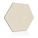 ADW Acoustic Panel Hexagon â€“ 24â€ X 24â€ X 1â€