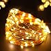 Bright Zeal 33' Long Warm White Copper Wire LED Fairy Lights Battery Operated with Timer - Warm White LED Christmas String Lights Brown Wire Outdoor Waterproof - Christmas Tree Lights LED Warm White