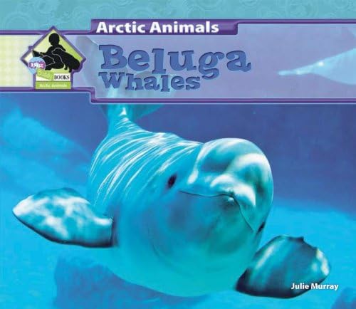 Beluga Whales (Arctic Animals) Library Binding – Illustrated, 1 Aug. 2013