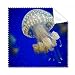 Ocean Jellyfish Science Nature Picture Cleaning Cloth Phone Screen Glasses Cleaner 5pcs