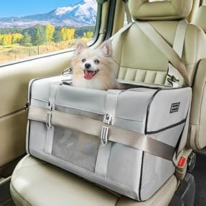 Petsfit Travel Pet Carrier for Large Cats (up to 20 lbs), Soft-Sided Dog Car Travel Carrier with Patented Buckle and Soft Padding, Ideal for Car Road Trips,19X12X12 Inch,Gray