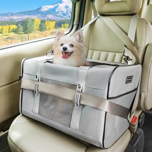 Petsfit Travel Pet Carrier for Large Cats (up to 20 lbs), Soft-Sided Dog Car Travel Carrier with Patented Buckle and Soft Padding, Ideal for Car Road Trips,19X12X12 Inch,Gray