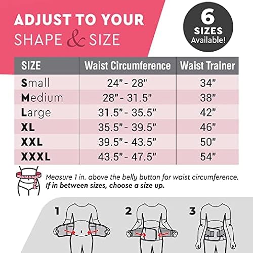 Pohl Schmitt Fitcurve Waist Trainer For Women Lower Belly Fat, Waist Trimmer Sweat Belt And Belly Band For Weight Loss, Workouts, Fitness And Lumbar Back Support, For Men And Women, Pink M #TOP5