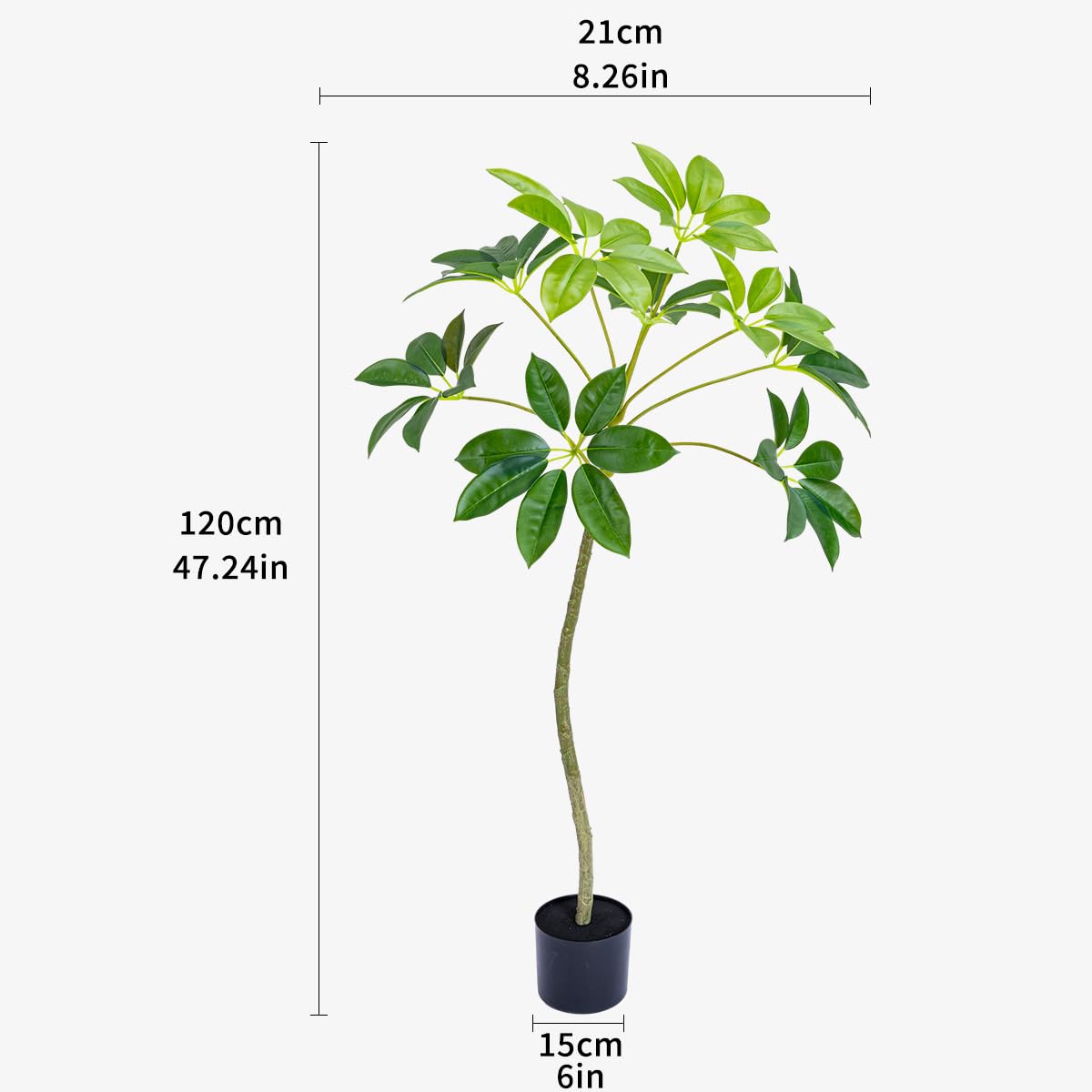 buy philodendron pink princess australia Philodendron Pink Princess Houseplant with Planter - Medium ( 7"-12" tall) Top Half Dusty Rose Planter