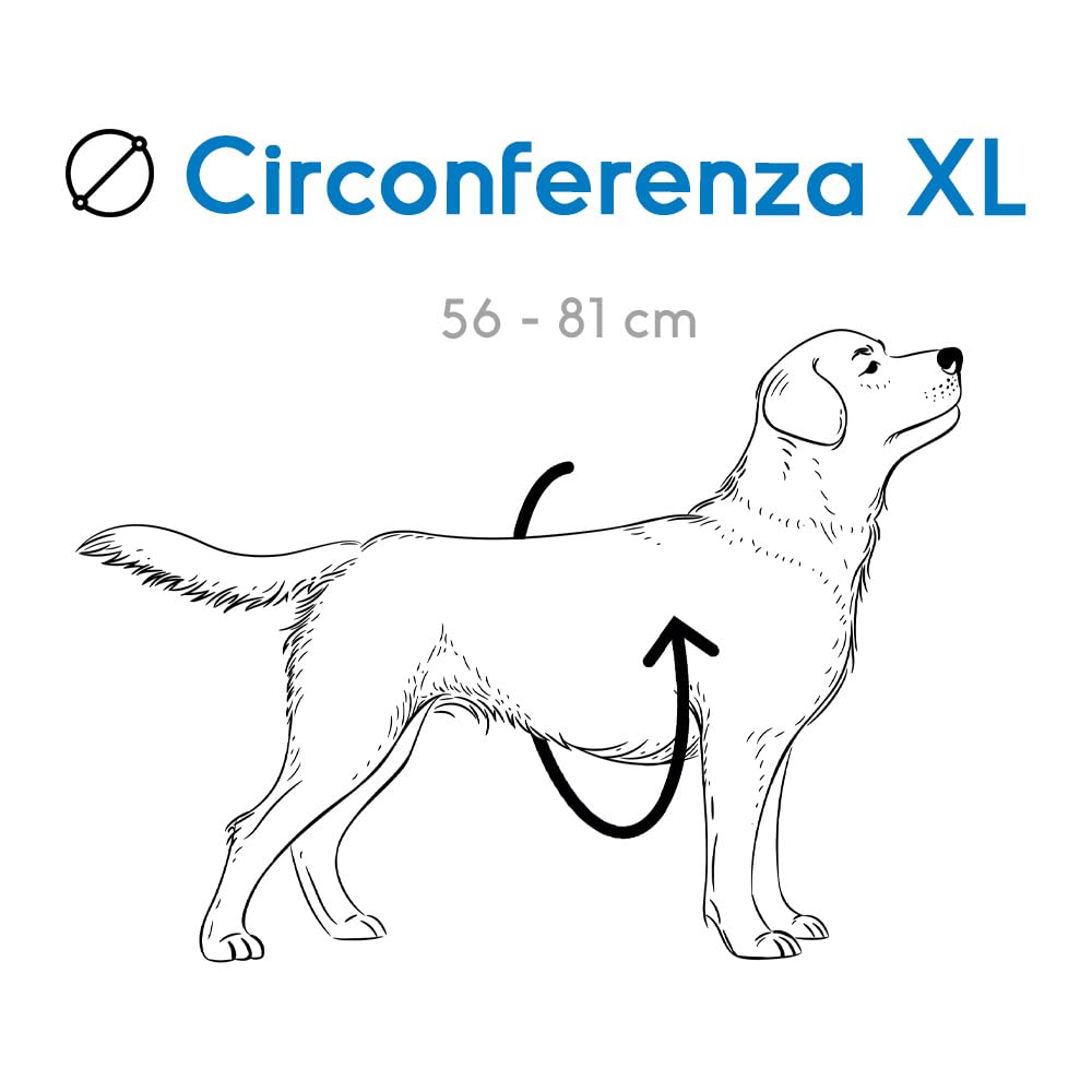 Record, Harness for Dogs, Made of Soft Nylon, Equipped with Quick Hook on the Back, Double Metal Hook Ring, Black, Size XL - Image 2