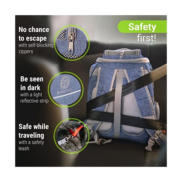 Expandable-Breathable-Cat-Backpack-Carrier-Designed-for-Comfy-Long-Walks-from-Kitty-to-Medium-Size-cat-Small-Dog-Puppy-Other-Small-pet-up-to-15lbs-Cat-Travel-Backpack-BT-01-2 Expandable Breathable Cat Backpack Carrier Designed for Comfy Long Walks - from Kitty to Medium-Size cat, Small Dog, Puppy, Other Small pet up to 15lbs - Cat Travel Backpack BT-01-2