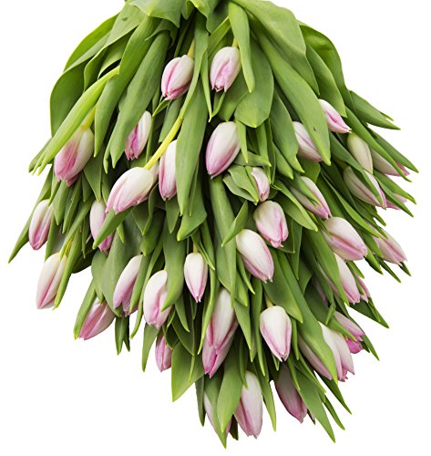 Image of KaBloom-50 Pink Tulip Bouquet,Flowers for Valentine, Mother's Day