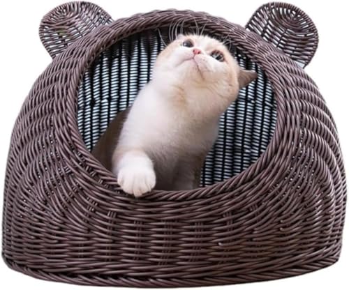 KOKUMON ِh[^LnEX ^ې EʋCElGjo[T Lp