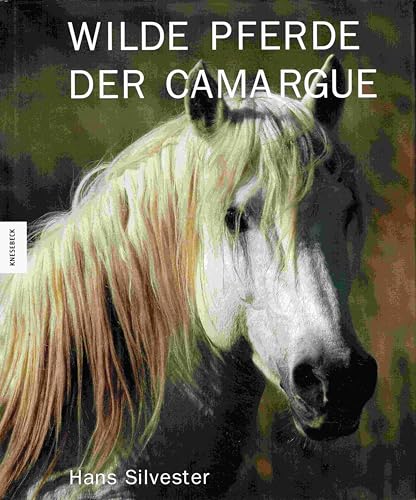 Wilde Pferde der Camargue