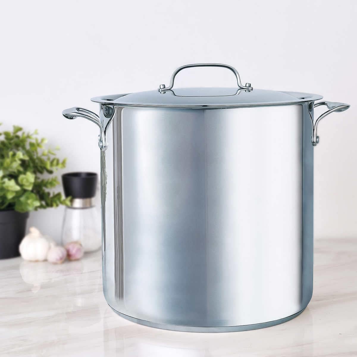 Bergner 15.1 L (16 qt.) Stainless Steel Stock Pot BG-32195-MM