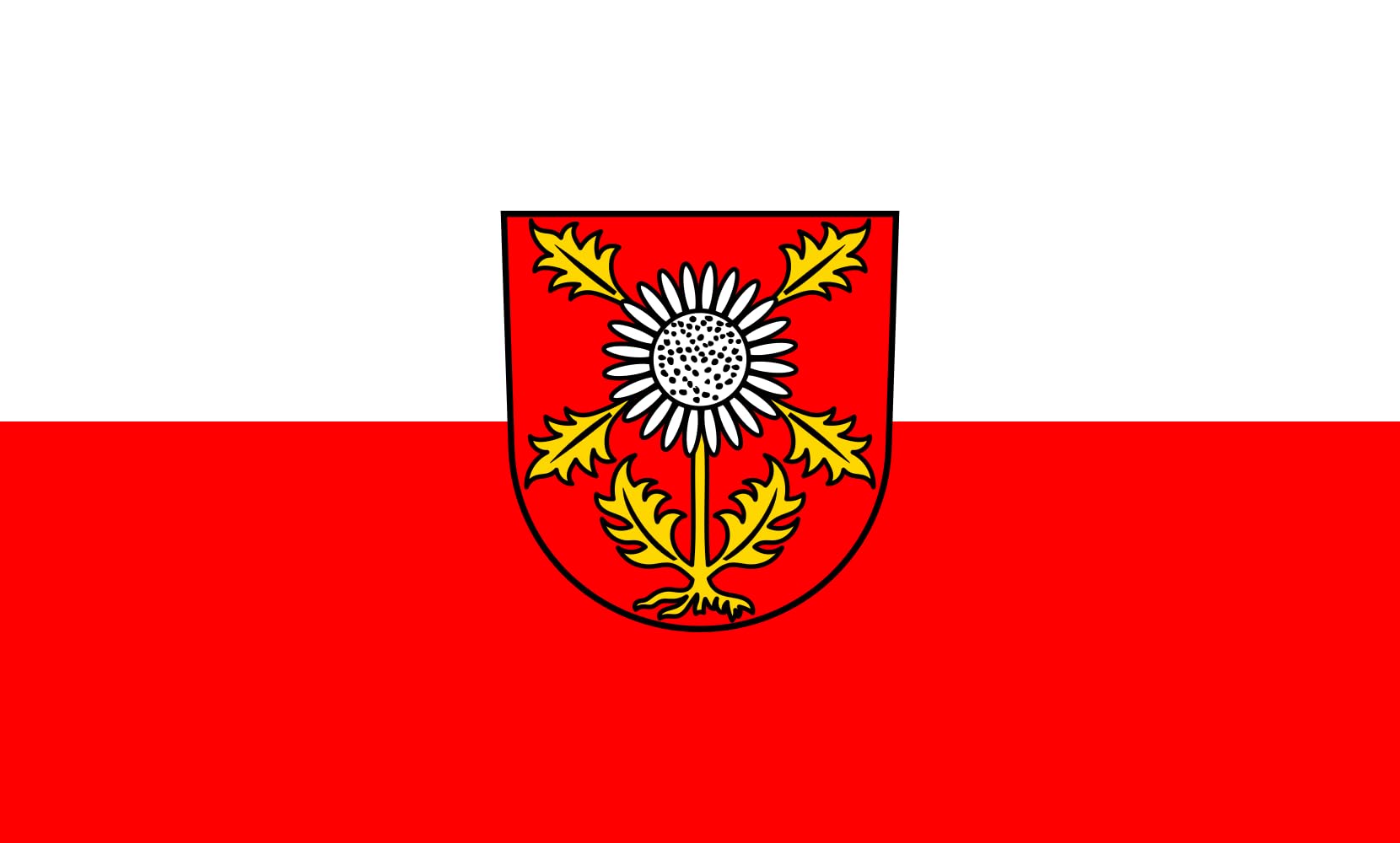 Drapeau Large Egenhausen pavillon horizontal grand format