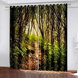 Aienid Curtain Blinds for Windows Scenic Curtains Pack of 2 Green Brown Forest Path Landscape 38' W x 72' H (96X183CM) / PC Polyester for Living Room Kitchen Bedroom