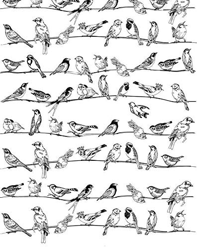 Birds On The Line - 33132 - Ceramic Decal - Enamel Decal - Glass Decal - Waterslide Decal - 3 Different Size Sheet (Images) to Choose from. Choose Either Ceramic (Enamel) or Glass Fusing Decals