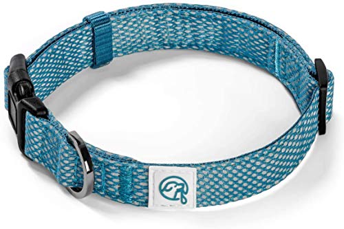Embark Illuminate Reflective Dog Collar â€“ Made with Reflective Material to Make Your Dog Collar Visible and Light at Night (Small, Blue)