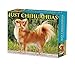 Produktbild Chihuahuas 2024 Calendar
