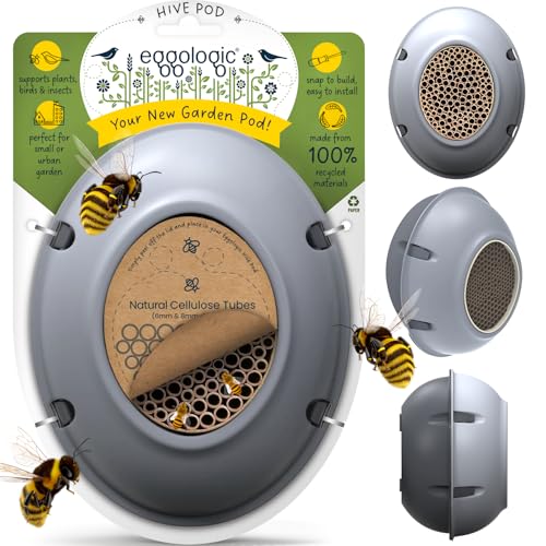 eggologic Hive Pod Bee Hotel, Modernes Insektenhaus für Gärten - Solitäres Bienenhaus mit natürlichen Niströhren, Wandmontierter Käferkasten für Bestäuber, für Gärtner - Steingrau